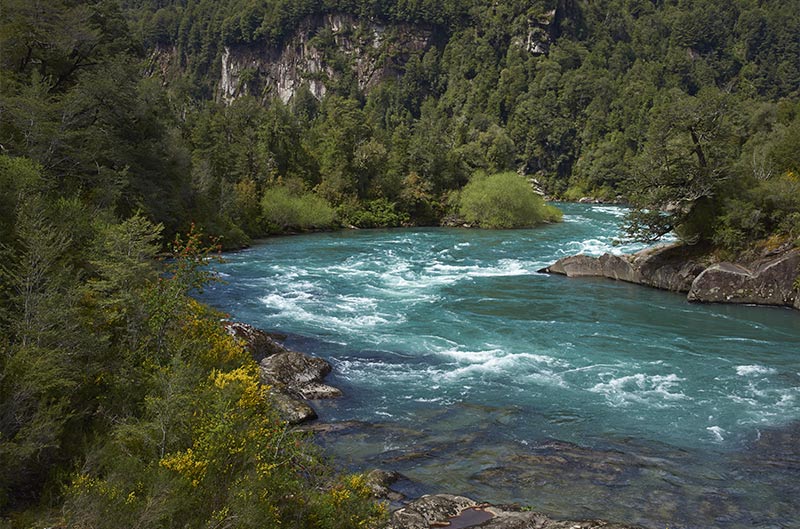 Fast flowing river through forest